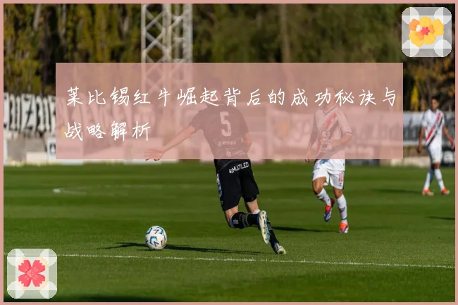 莱比锡红牛崛起背后的成功秘诀与战略解析