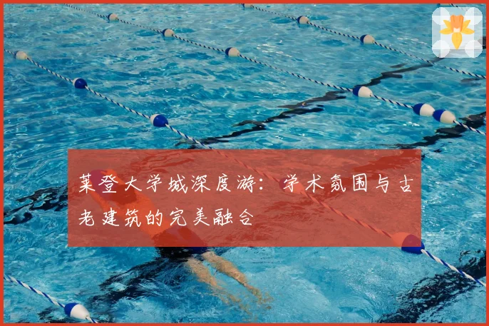 莱登大学城深度游：学术氛围与古老建筑的完美融合